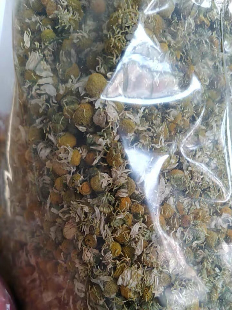 甘菊洋甘菊干品农家初选中药材111111111