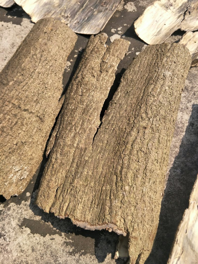 野生杜仲，树龄10一30年不等，太阳晒干无任何添加杜仲皮