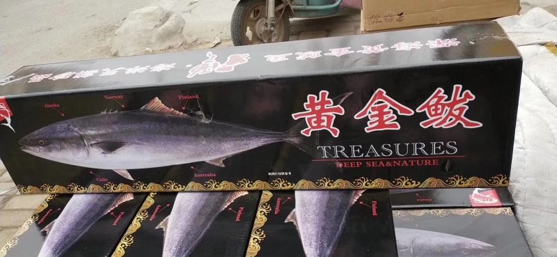 黄金鲅（一款深海鱼鲜活速冻的吃起来口感特别鲜）