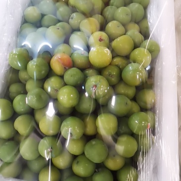 水果