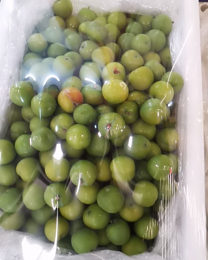 水果