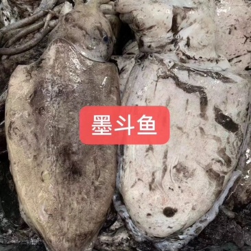 潮汕墨鱼丸