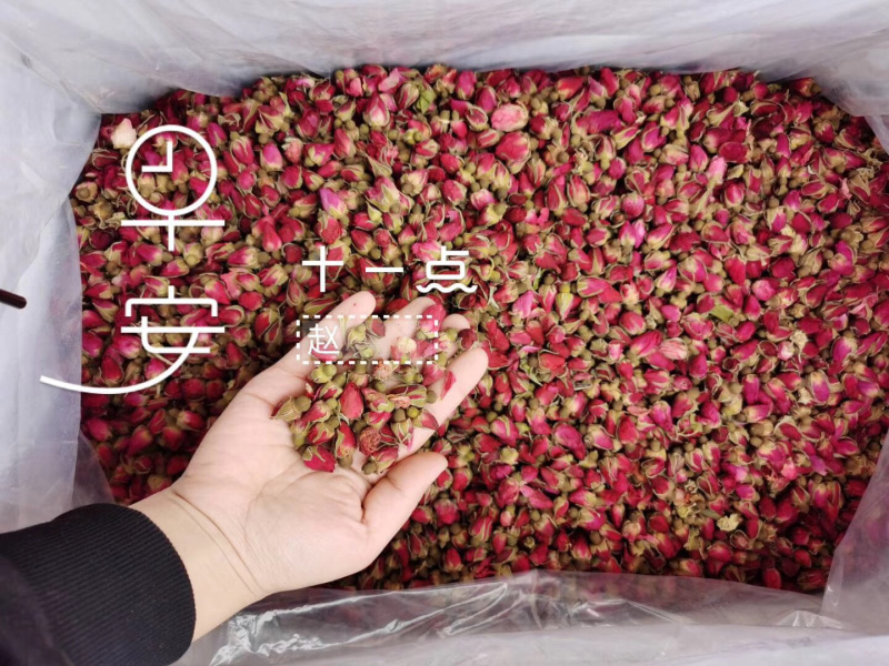 玫瑰花茶2025年新山东平阴玫瑰花茶玫瑰花蕾