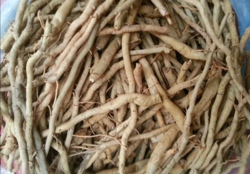 黄花菜根，道地药材直供，质优价实，品质保证，药典标准