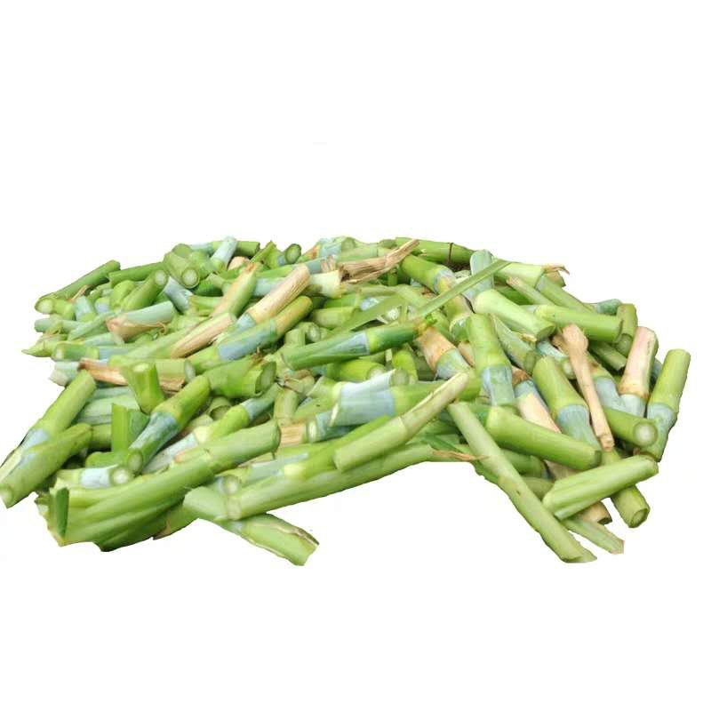 多年生巨菌草台湾甜象草新型皇竹草种节牛羊鼠鱼兔草牧草种子