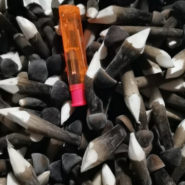 黑皮鸡枞新鲜三级鸡棕菌基地直发每天现采摘