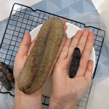 实拍原装35头斯里兰卡明秃参野生海参超高泡发质量保证