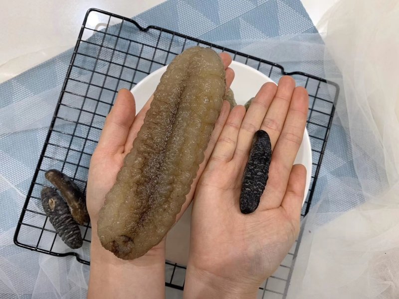 实拍原装35头斯里兰卡明秃参野生海参超高泡发质量保证