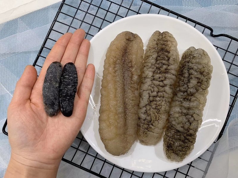实拍原装35头斯里兰卡明秃参野生海参超高泡发质量保证