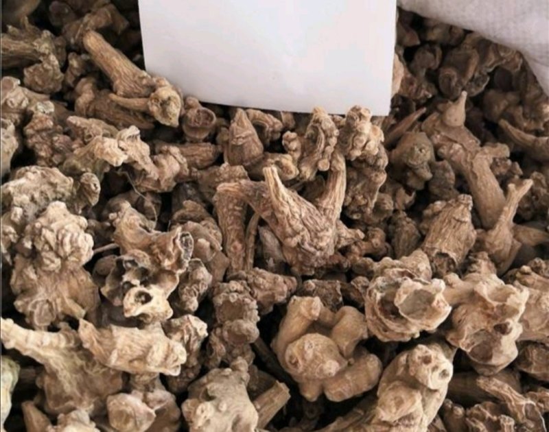 竹根七，道地药材，质优价实，品质保证，药典标准一公斤起批