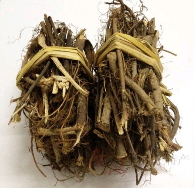 牛奶根，道地药材，质优价实，品质保证，药典标准一公斤起批