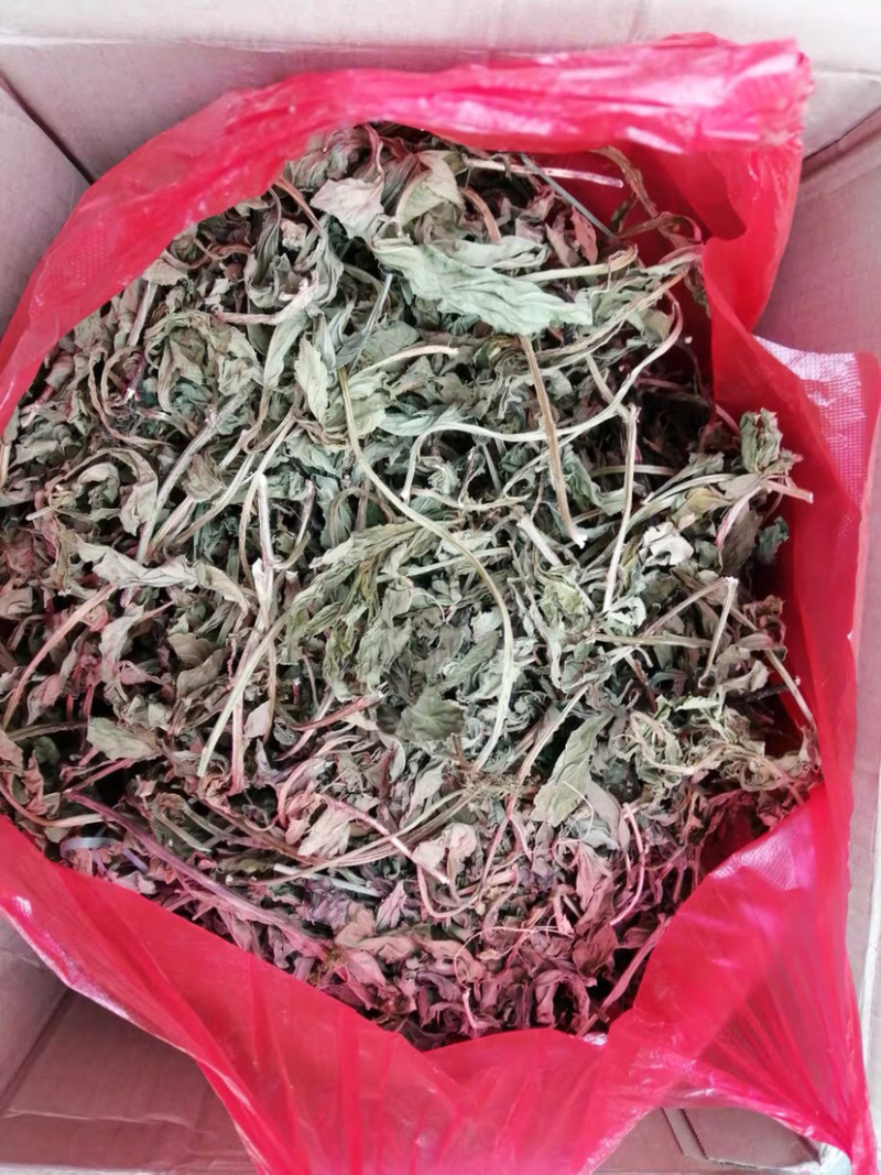 灵香草不香不要钱干品农家初选中药材11111