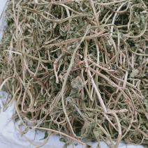 灵香草不香不要钱干品农家初选中药材11111