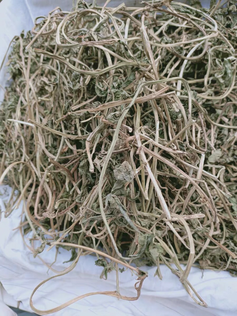 灵香草不香不要钱干品农家初选中药材11111