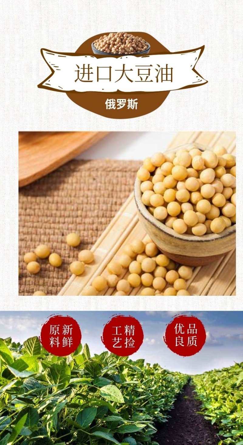 俄罗斯原装进口阳达豆油非转基因5升，葵花油5升