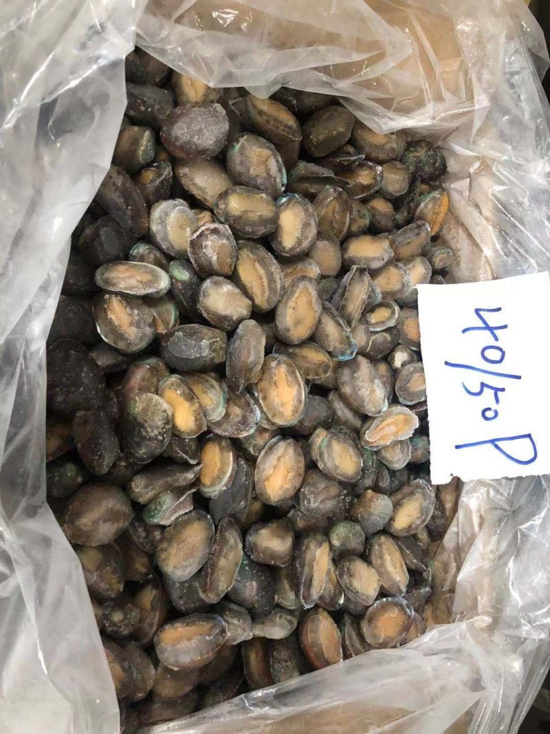 鲍鱼
