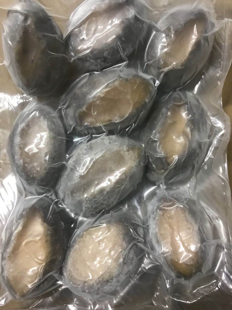 鲍鱼