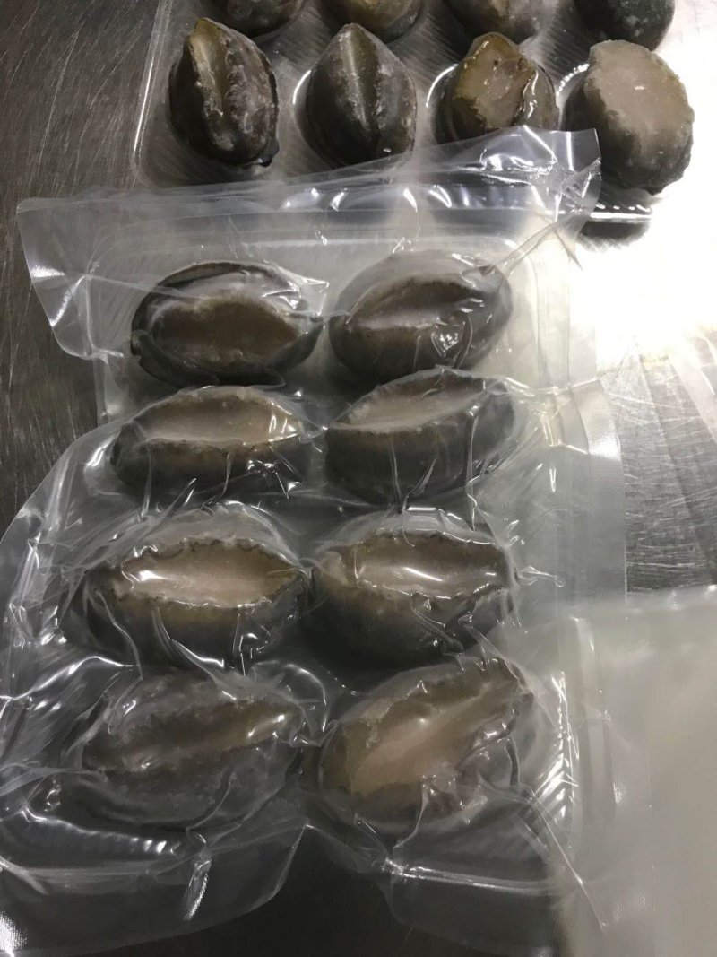 鲍鱼