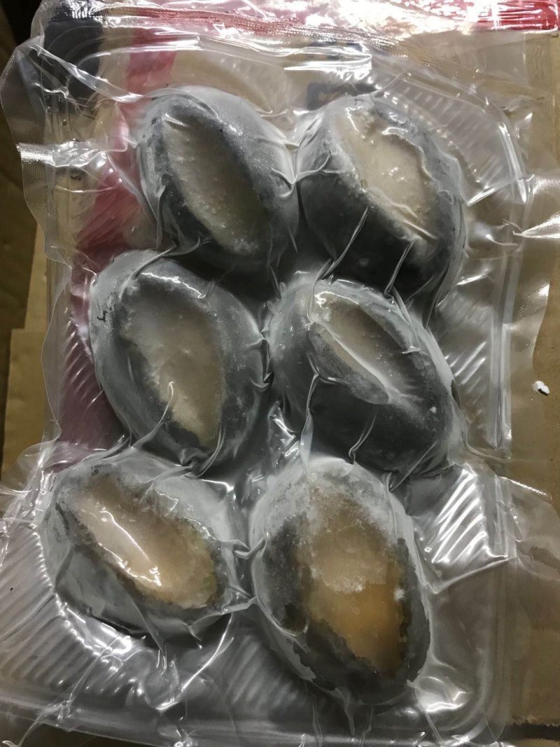 鲍鱼