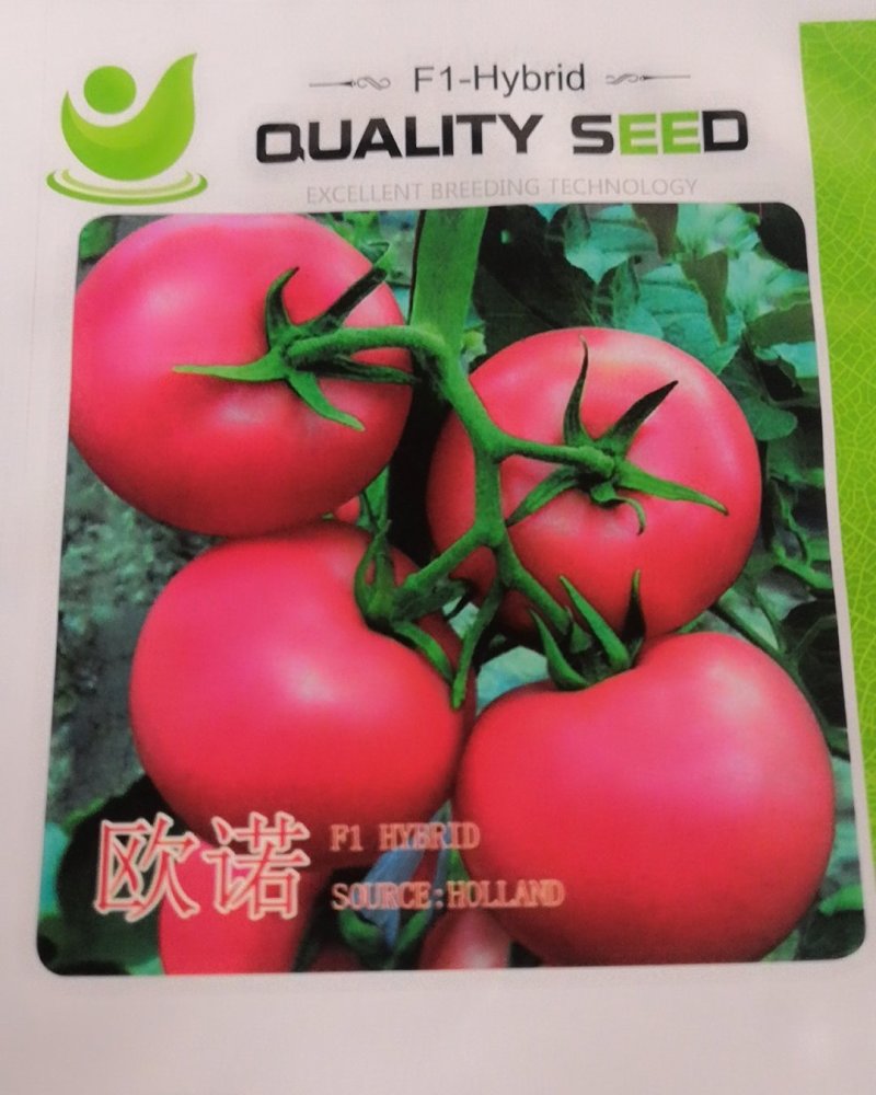 欧诺西红柿籽早春越夏秋延优质品种