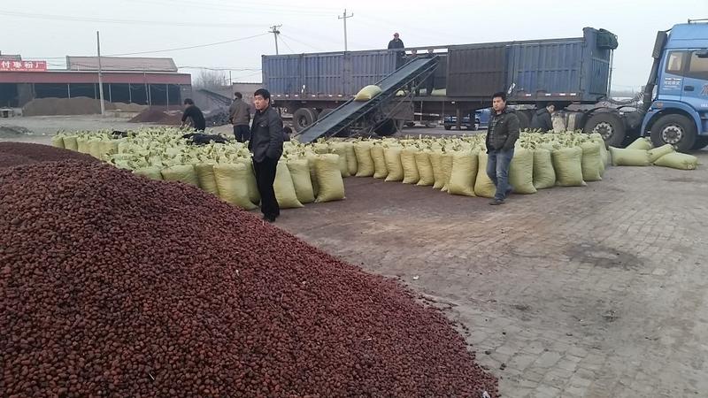 牲畜用饲料枣粉厂家供应批发灰分低蛋白高质优价廉