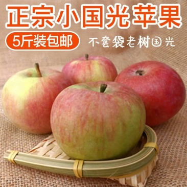 山东烟台国光苹果5斤装山东特产新鲜水果包邮