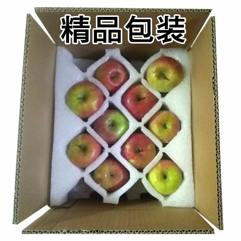山东烟台国光苹果5斤装山东特产新鲜水果包邮