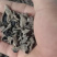 东北特产黑木耳肉厚无根干货秋木耳东北小碗耳