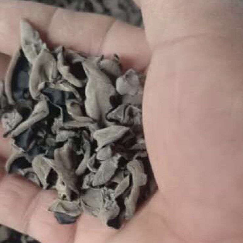 东北特产黑木耳肉厚无根干货秋木耳东北小碗耳