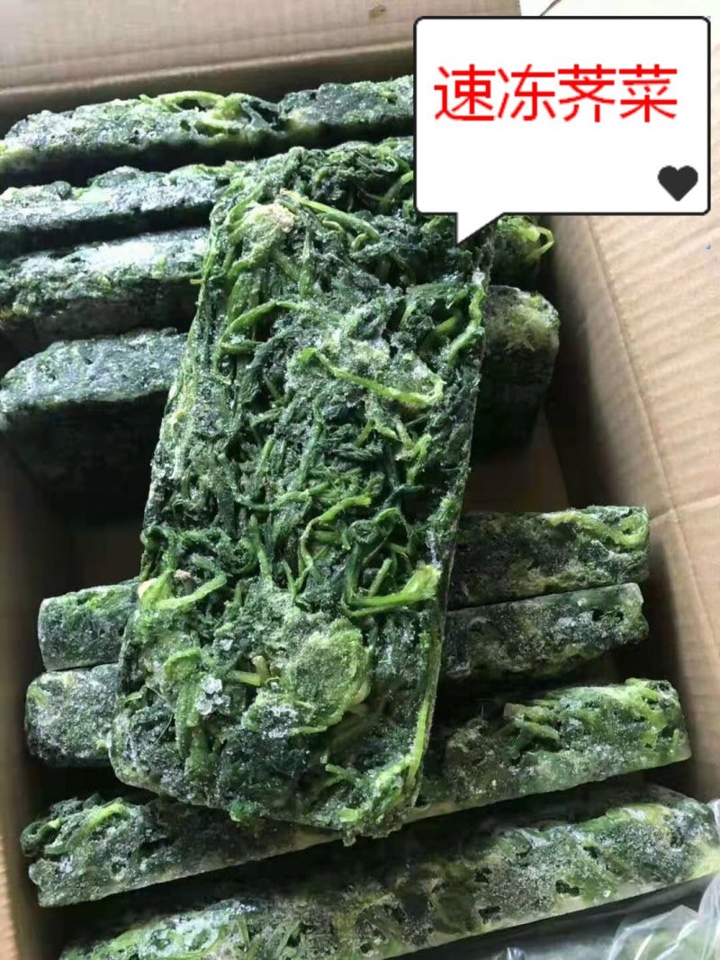 速冻荠菜荠荠菜常年供货