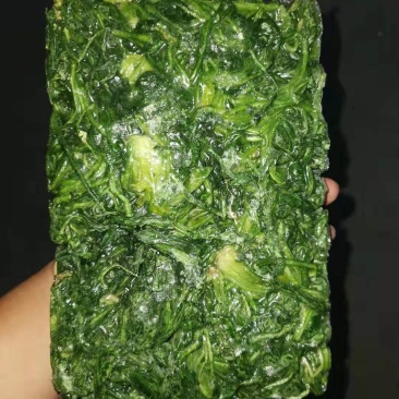 速冻荠菜荠荠菜常年供货