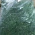 荠菜速冻荠菜碎速冻荠菜整颗