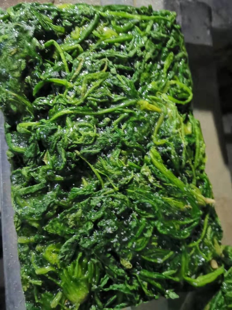 荠菜速冻荠菜碎速冻荠菜整颗