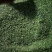 荠菜速冻荠菜碎速冻荠菜整颗