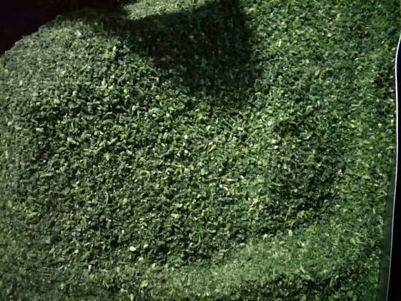 荠菜速冻荠菜碎速冻荠菜整颗