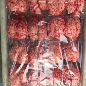 单冻羊对脑，颜色鲜，质量保证，常年供货，一手货源。