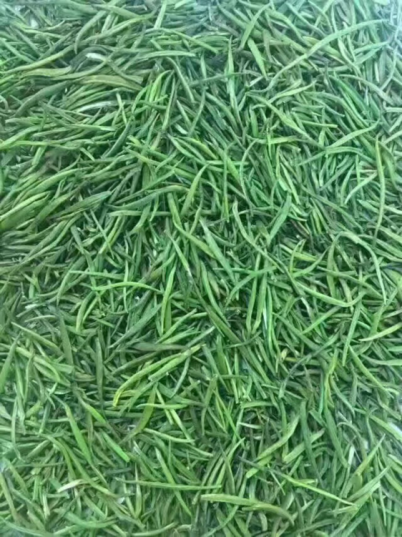 新茶明前绿茶梨香雀舌竹叶青大量有货