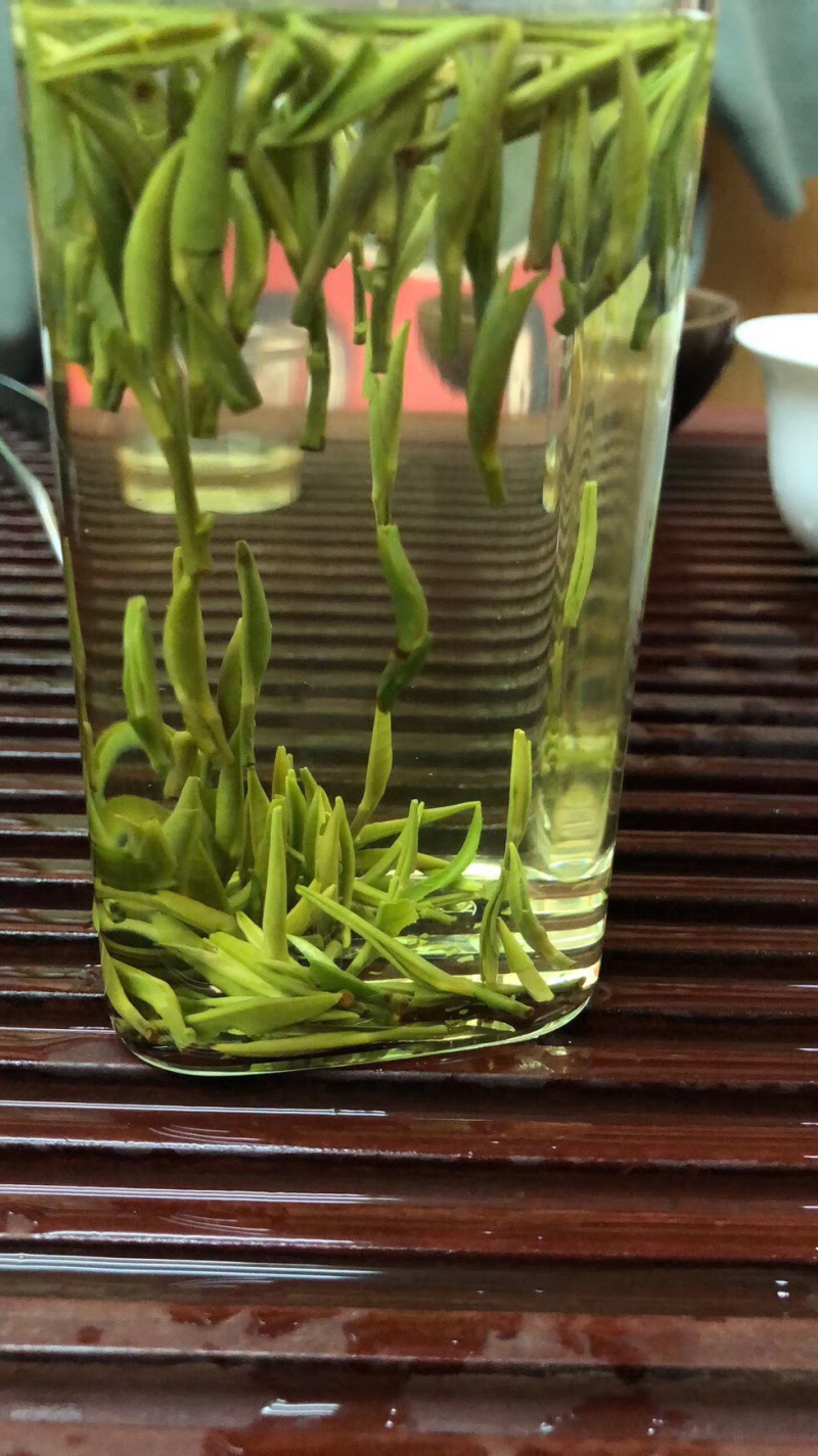 新茶明前绿茶梨香雀舌竹叶青大量有货