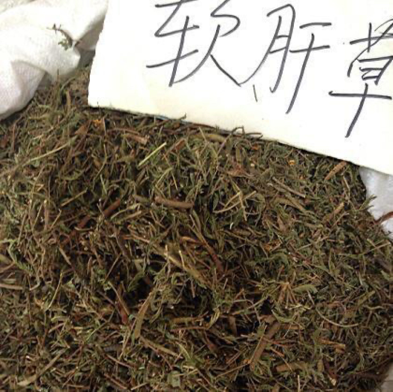 软肝草中药材软肝草铁甲草益肝草肝炎草