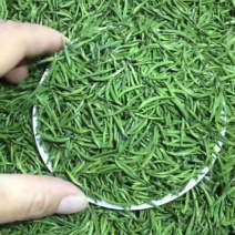 新茶明前绿茶梨香雀舌竹叶青大量有货