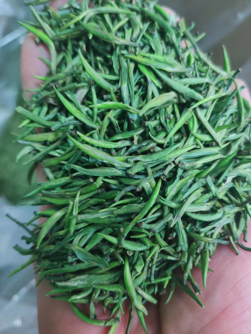 新茶明前绿茶梨香雀舌竹叶青大量有货