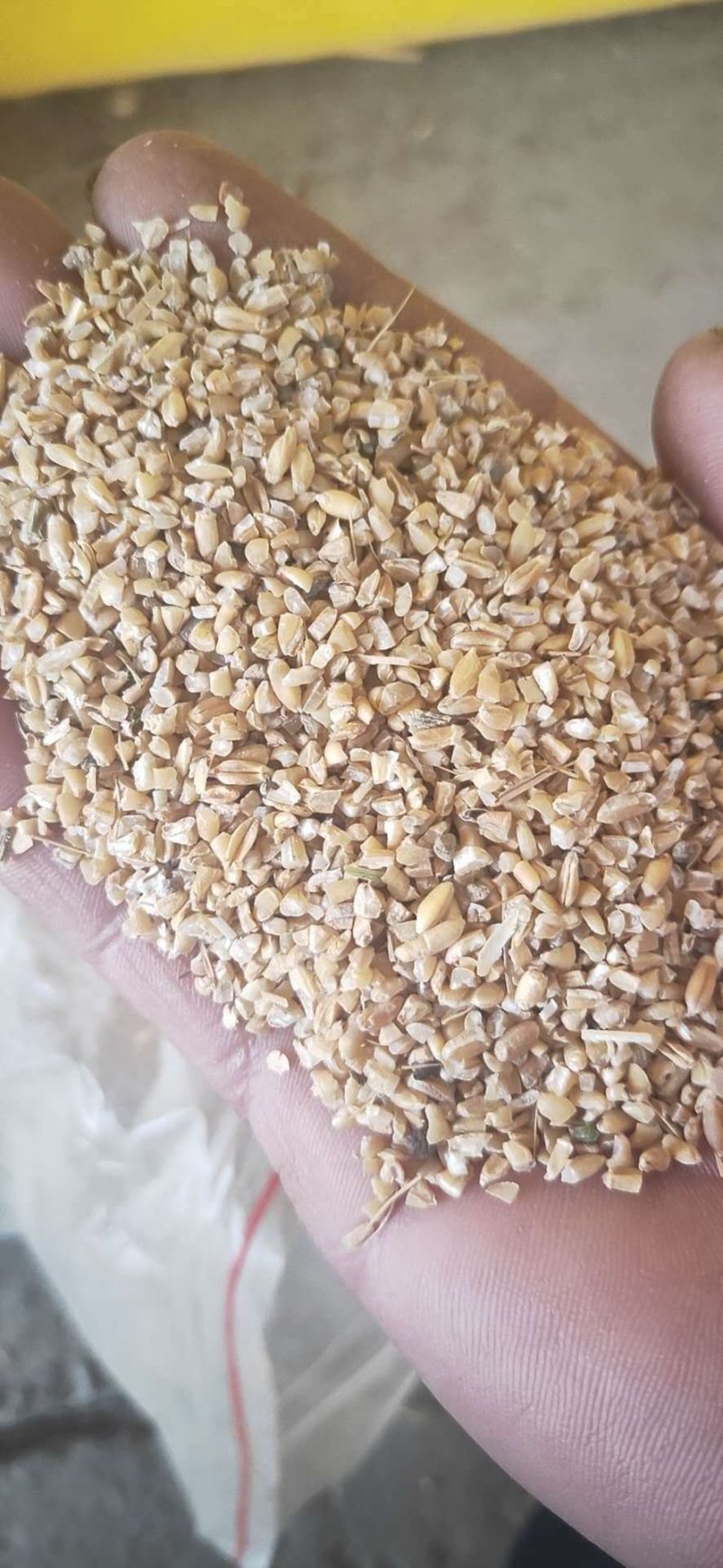 碎麦子粮食鸭鹅养殖碎麦子粗糠小麦鸭鹅养殖玉米渣子家禽饲