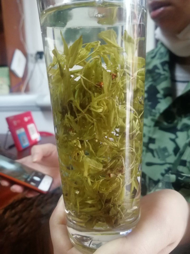 广西三江野生藤茶明前茶叶霉茶谷雨茶500克包邮