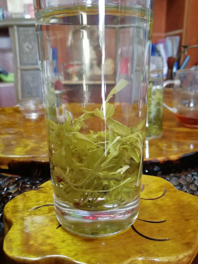广西三江野生藤茶明前茶叶霉茶谷雨茶500克包邮