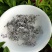 广西三江野生藤茶明前茶叶霉茶谷雨茶500克包邮