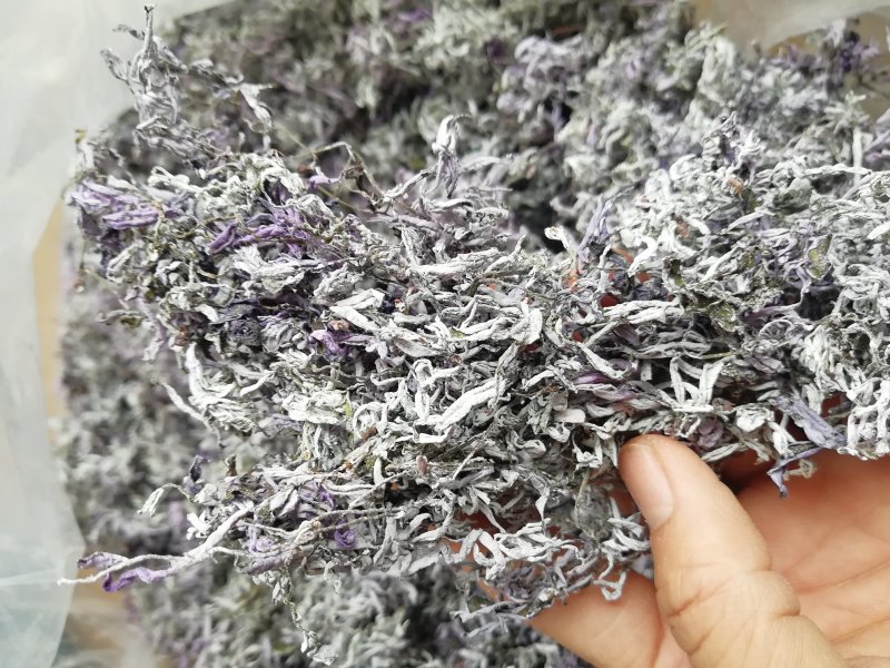 广西三江野生藤茶明前茶叶霉茶谷雨茶500克包邮