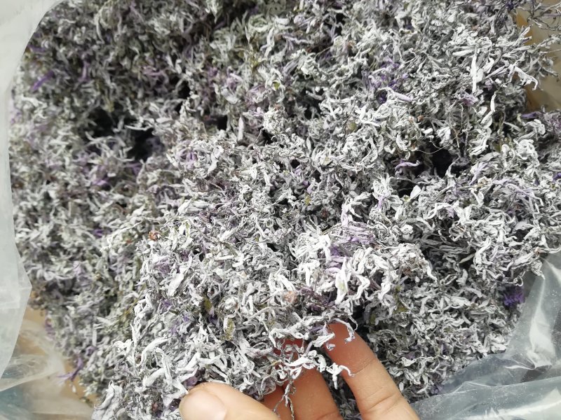广西三江野生藤茶明前茶叶霉茶谷雨茶500克包邮