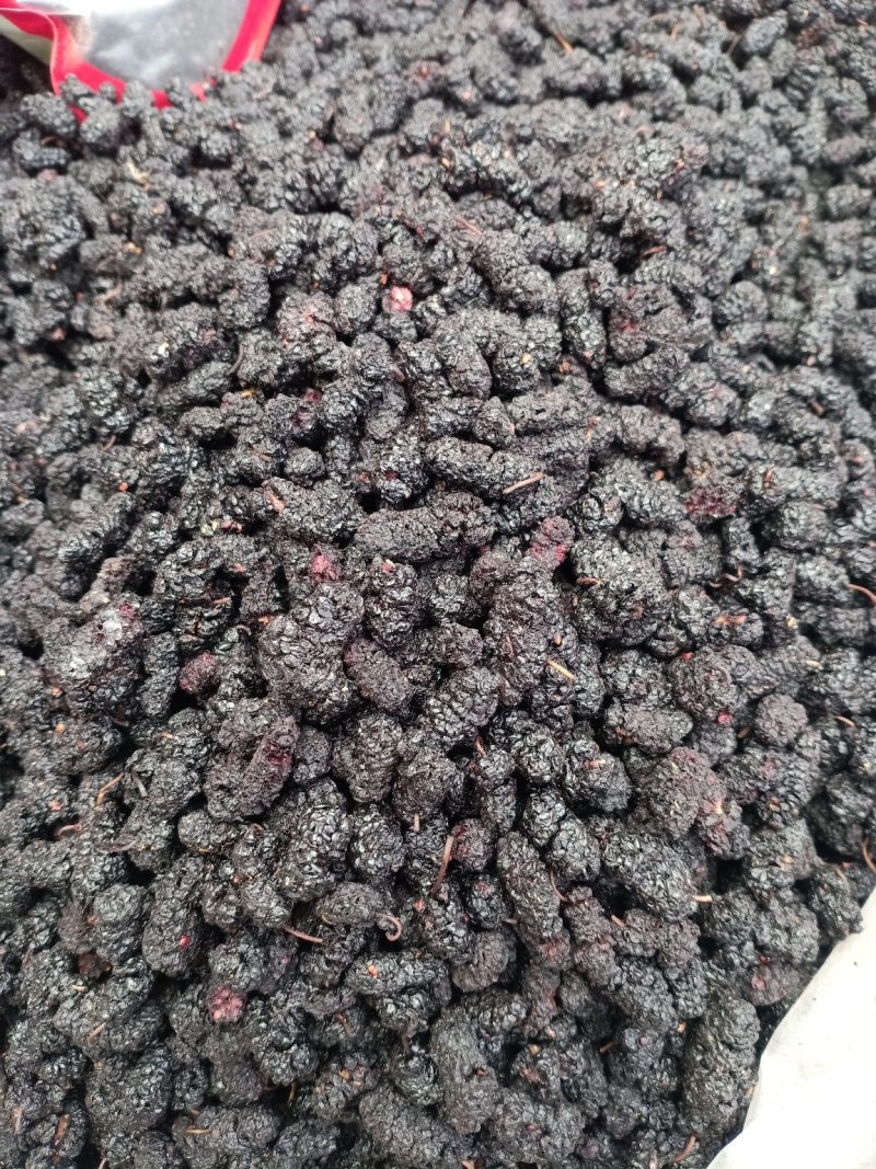 黑桑葚干一手货源，产地直销！大货批发价优