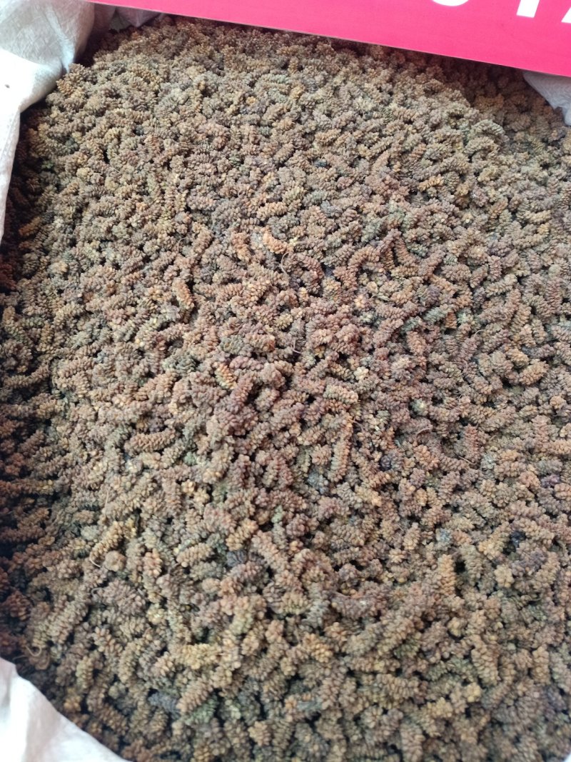 黑桑葚干一手货源，产地直销！大货批发价优