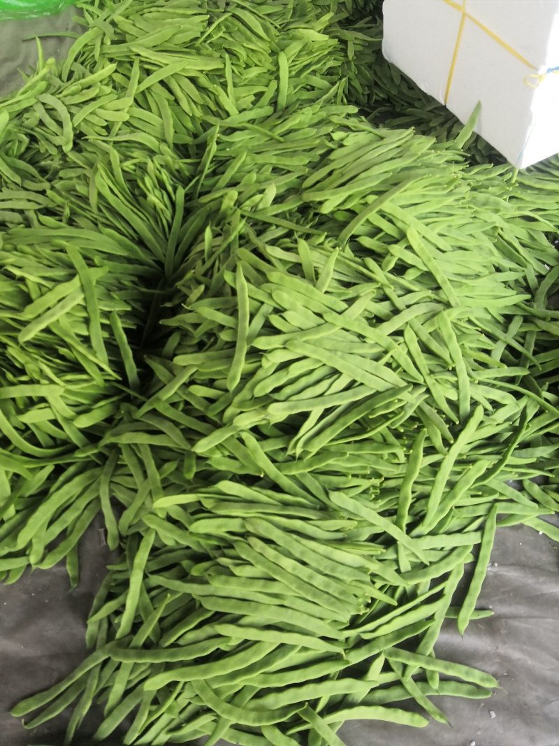 通货扁豆，扁青芸豆大量上市扁豆